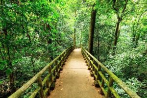 Cuc Phuong Ninh Binh