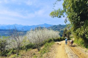 di thang bac ha vietnam