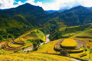 la pan tan mu cang chai