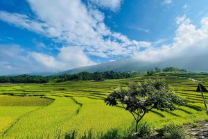 village Don a Pu Luong