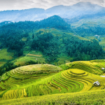 le-riziere-en-terrasse-de-Mu-Cang-Chai