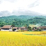 village tha ha giang