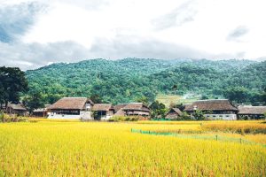 village tha ha giang