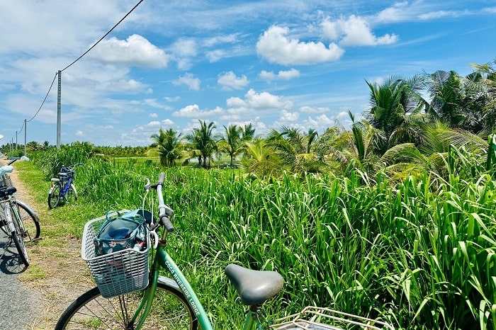 vung-liem-delta-du-mekong-vietnam