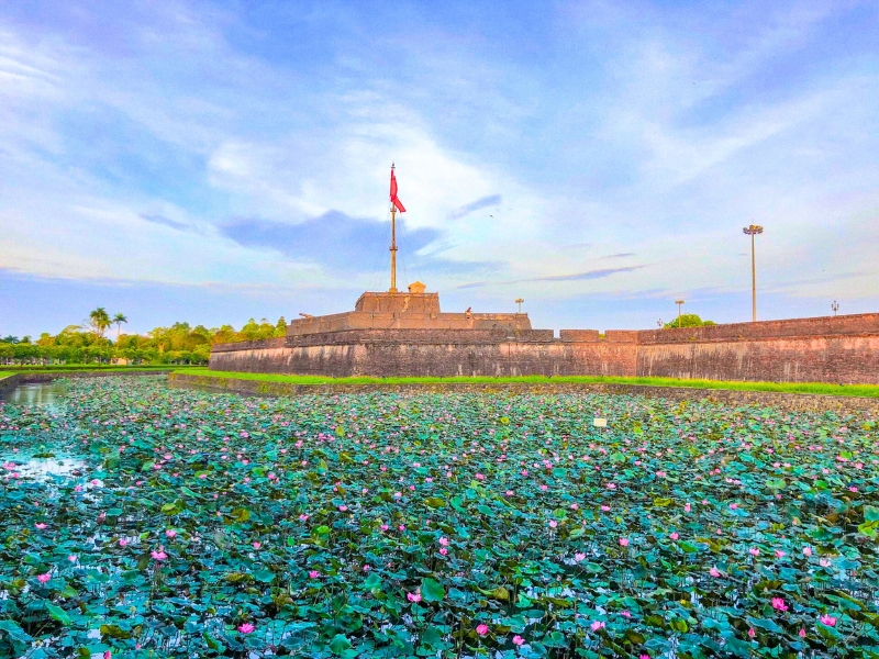 La fleur nationale du Vietnam paraît désormais incarner l’image du tourisme de Hué en été