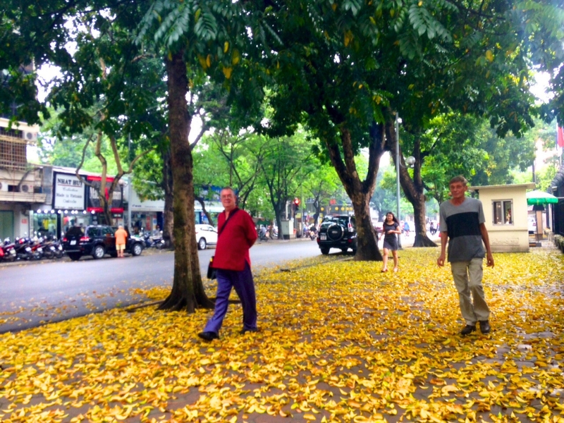 Tapis de feuilles dorées à Hanoi