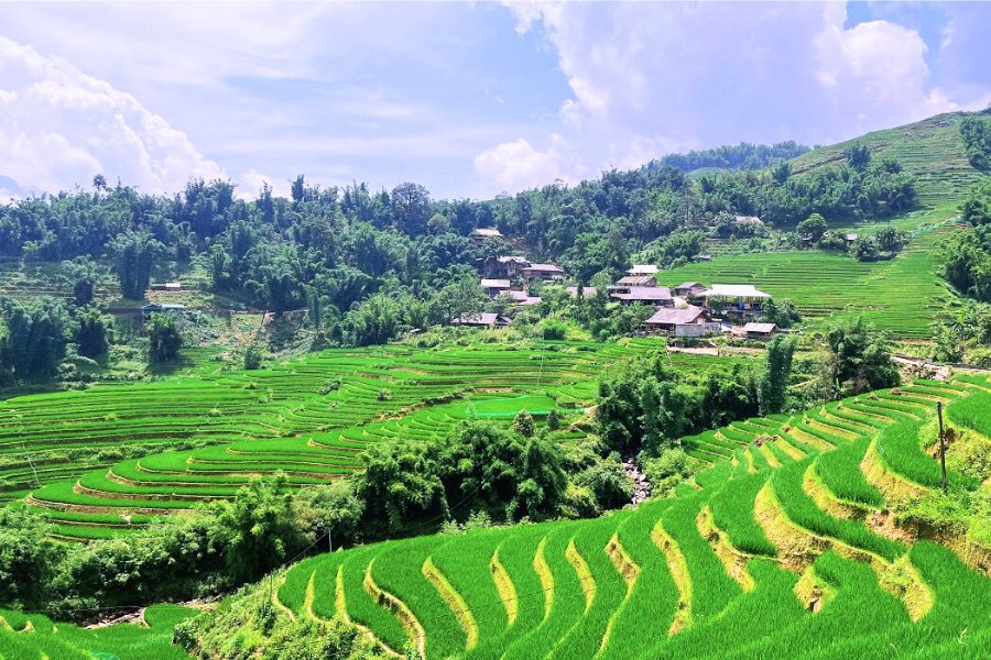 y linh ho lao chai ta van