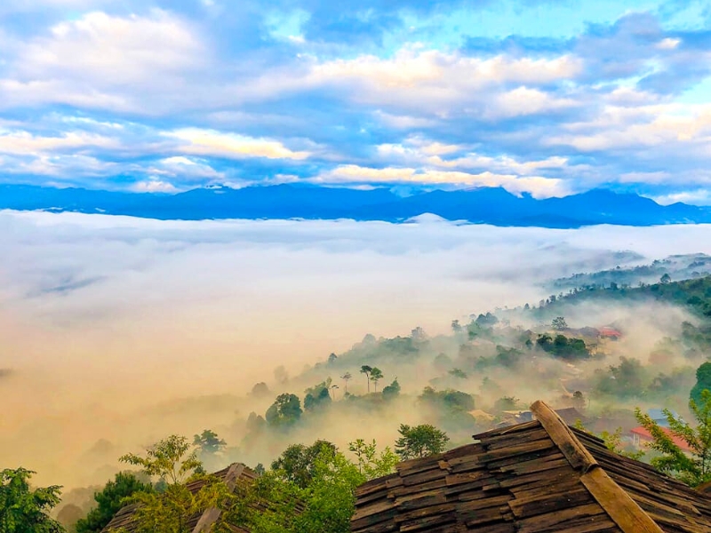 Suoi Giang, Yen Bai – Terre de thé shan tuyet centenaire, entre montagnes et nuages