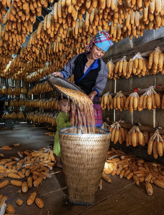 les hmongs au vietnam