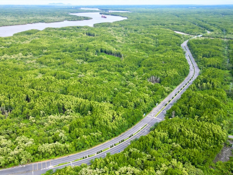 Réserve naturelle de Cân Gio
