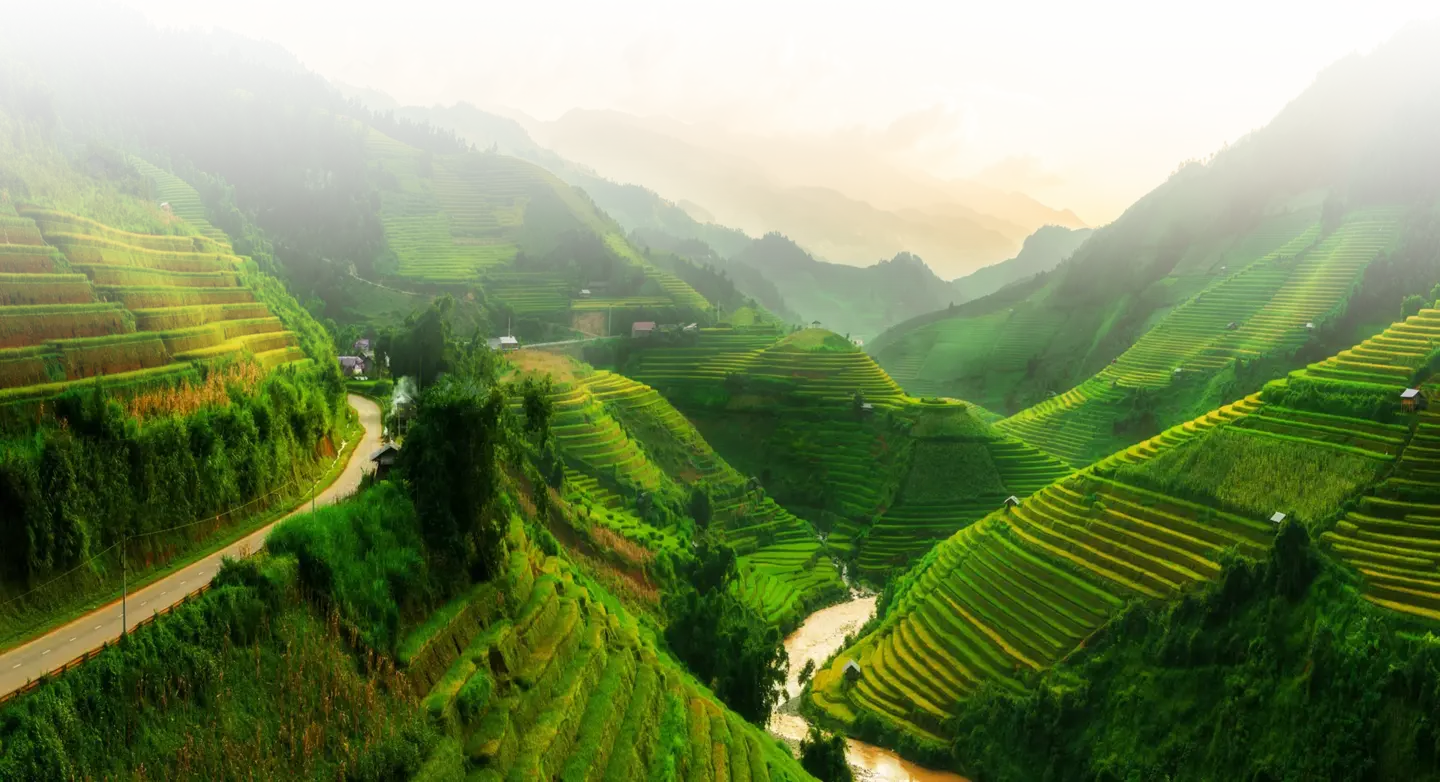newsletter-horizon-vietnam-resize