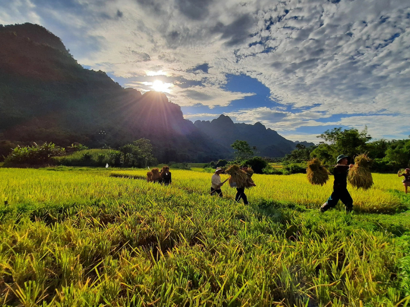 Lam Thuong, la vallée cachée et paisible de Yen Bai