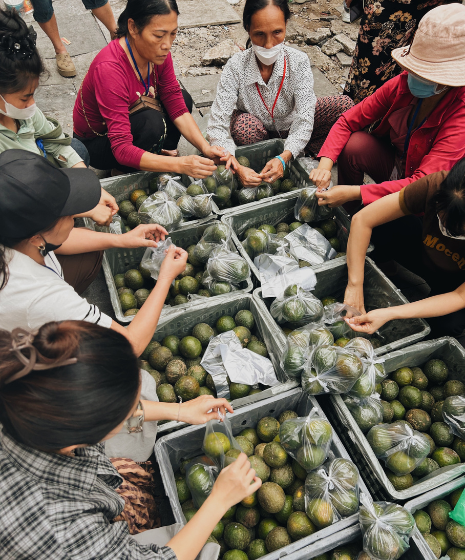 Préparation des sacs d'oranges