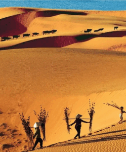 Mui Ne, Vietnam : Guide complet pour un séjour balnéaire et culturel