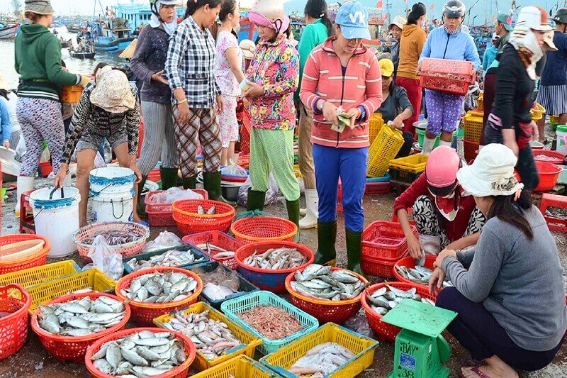 Marché aux fruits de mer de Danang, animé et coloré dès l’aube