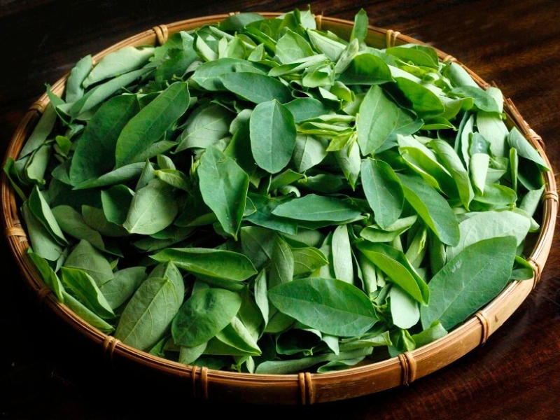 Rau ngot – Un légume modeste mais riche en bienfaits, incontournable de la cuisine vietnamienne