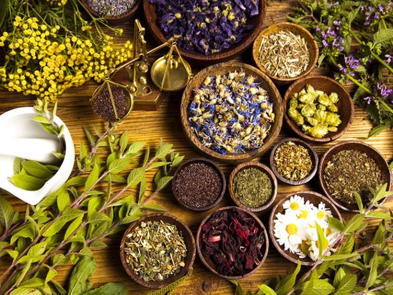 Cataplasmes aux herbes : un remède traditionnel vietnamien pour apaiser les douleurs et activer la circulation