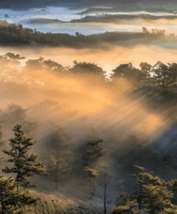 Da Lat : Guide complet de la ville du printemps éternel