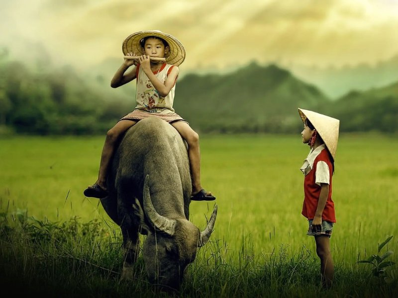 Littérature vietnamienne: Tout ce qu’il faut savoir